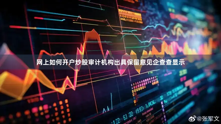 网上如何开户炒股审计机构出具保留意见企查查显示