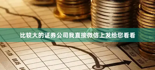 比较大的证券公司我直接微信上发给您看看